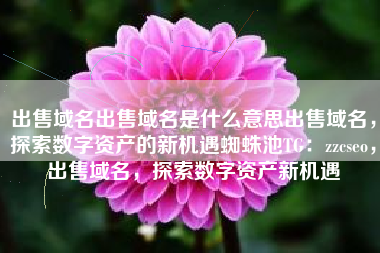 出售域名出售域名是什么意思出售域名，探索数字资产的新机遇蜘蛛池TG：zzcseo，出售域名，探索数字资产新机遇
