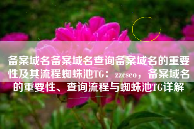备案域名备案域名查询备案域名的重要性及其流程蜘蛛池TG：zzcseo，备案域名的重要性、查询流程与蜘蛛池TG详解
