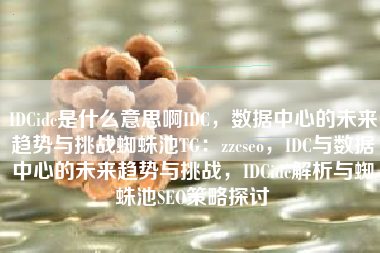 IDCidc是什么意思啊IDC，数据中心的未来趋势与挑战蜘蛛池TG：zzcseo，IDC与数据中心的未来趋势与挑战，IDCidc解析与蜘蛛池SEO策略探讨