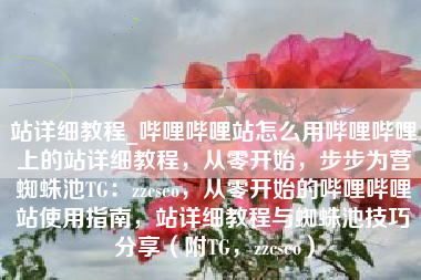 站详细教程_哔哩哔哩站怎么用哔哩哔哩上的站详细教程，从零开始，步步为营蜘蛛池TG：zzcseo，从零开始的哔哩哔哩站使用指南，站详细教程与蜘蛛池技巧分享（附TG，zzcseo）