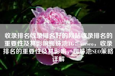 收录排名收录排名好的网站收录排名的重要性及其影响蜘蛛池TG：zzcseo，收录排名的重要性及其影响，蜘蛛池SEO策略详解