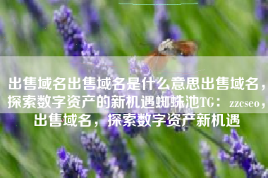 出售域名出售域名是什么意思出售域名，探索数字资产的新机遇蜘蛛池TG：zzcseo，出售域名，探索数字资产新机遇