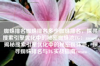 蜘蛛排名蜘蛛排名多少蜘蛛排名，探寻搜索引擎优化中的秘密蜘蛛池TG：zzcseo，揭秘搜索引擎优化中的秘密蜘蛛池，探寻蜘蛛排名与TG实战指南zzcseo