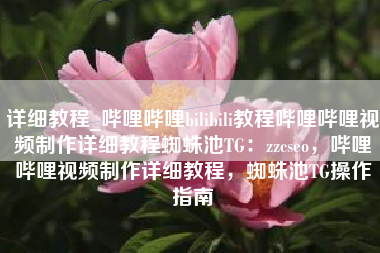 详细教程_哔哩哔哩bilibili教程哔哩哔哩视频制作详细教程蜘蛛池TG：zzcseo，哔哩哔哩视频制作详细教程，蜘蛛池TG操作指南