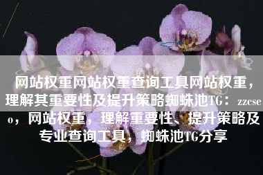 网站权重网站权重查询工具网站权重，理解其重要性及提升策略蜘蛛池TG：zzcseo，网站权重，理解重要性、提升策略及专业查询工具，蜘蛛池TG分享