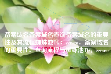 备案域名备案域名查询备案域名的重要性及其流程蜘蛛池TG：zzcseo，备案域名的重要性、查询流程与蜘蛛池TG，zzcseo