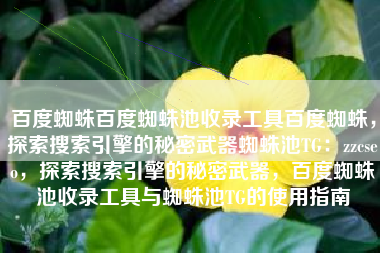 百度蜘蛛百度蜘蛛池收录工具百度蜘蛛，探索搜索引擎的秘密武器蜘蛛池TG：zzcseo，探索搜索引擎的秘密武器，百度蜘蛛池收录工具与蜘蛛池TG的使用指南