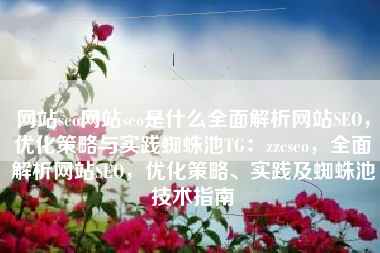 网站seo网站seo是什么全面解析网站SEO，优化策略与实践蜘蛛池TG：zzcseo，全面解析网站SEO，优化策略、实践及蜘蛛池技术指南