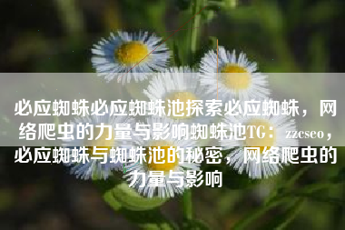 必应蜘蛛必应蜘蛛池探索必应蜘蛛，网络爬虫的力量与影响蜘蛛池TG：zzcseo，必应蜘蛛与蜘蛛池的秘密，网络爬虫的力量与影响