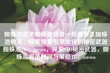 蜘蛛池收录蜘蛛池收录一般要多久蜘蛛池收录，探索搜索引擎优化的秘密武器蜘蛛池TG：zzcseo，探索SEO秘密武器，蜘蛛池收录时间与策略TG，zzcseo