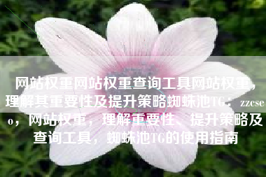 网站权重网站权重查询工具网站权重，理解其重要性及提升策略蜘蛛池TG：zzcseo，网站权重，理解重要性、提升策略及查询工具，蜘蛛池TG的使用指南
