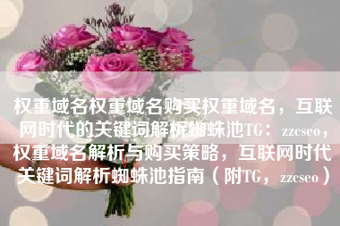 权重域名权重域名购买权重域名，互联网时代的关键词解析蜘蛛池TG：zzcseo，权重域名解析与购买策略，互联网时代关键词解析蜘蛛池指南（附TG，zzcseo）