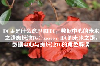 IDCidc是什么意思啊IDC，数据中心的未来之路蜘蛛池TG：zzcseo，IDC的未来之路，数据中心与蜘蛛池TG的角色解读