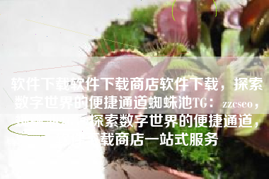 软件下载软件下载商店软件下载，探索数字世界的便捷通道蜘蛛池TG：zzcseo，蜘蛛池TG，探索数字世界的便捷通道，软件下载商店一站式服务