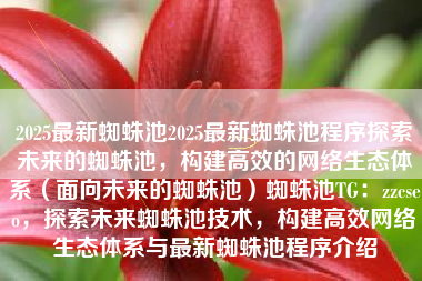 2025最新蜘蛛池2025最新蜘蛛池程序探索未来的蜘蛛池，构建高效的网络生态体系（面向未来的蜘蛛池）蜘蛛池TG：zzcseo，探索未来蜘蛛池技术，构建高效网络生态体系与最新蜘蛛池程序介绍