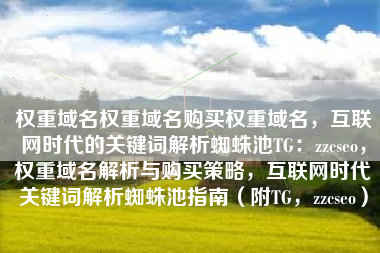权重域名权重域名购买权重域名，互联网时代的关键词解析蜘蛛池TG：zzcseo，权重域名解析与购买策略，互联网时代关键词解析蜘蛛池指南（附TG，zzcseo）