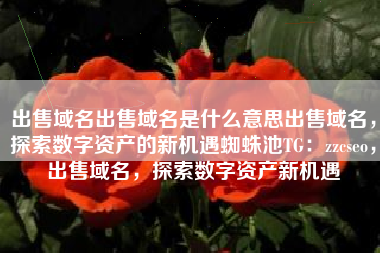 出售域名出售域名是什么意思出售域名，探索数字资产的新机遇蜘蛛池TG：zzcseo，出售域名，探索数字资产新机遇