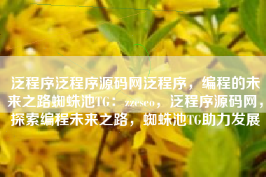 泛程序泛程序源码网泛程序，编程的未来之路蜘蛛池TG：zzcseo，泛程序源码网，探索编程未来之路，蜘蛛池TG助力发展
