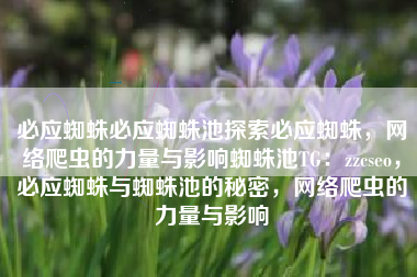 必应蜘蛛必应蜘蛛池探索必应蜘蛛，网络爬虫的力量与影响蜘蛛池TG：zzcseo，必应蜘蛛与蜘蛛池的秘密，网络爬虫的力量与影响