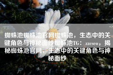 蜘蛛池蜘蛛池官网蜘蛛池，生态中的关键角色与神秘面纱蜘蛛池TG：zzcseo，揭秘蜘蛛池官网，生态中的关键角色与神秘面纱