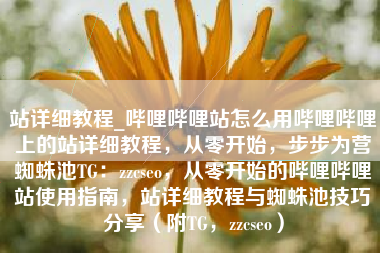 站详细教程_哔哩哔哩站怎么用哔哩哔哩上的站详细教程，从零开始，步步为营蜘蛛池TG：zzcseo，从零开始的哔哩哔哩站使用指南，站详细教程与蜘蛛池技巧分享（附TG，zzcseo）