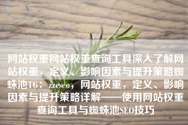 网站权重网站权重查询工具深入了解网站权重，定义、影响因素与提升策略蜘蛛池TG：zzcseo，网站权重，定义、影响因素与提升策略详解——使用网站权重查询工具与蜘蛛池SEO技巧