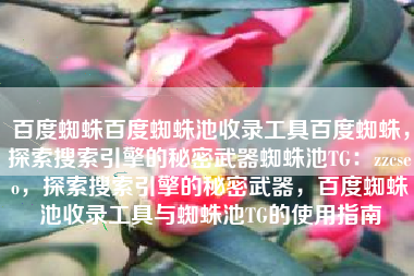 百度蜘蛛百度蜘蛛池收录工具百度蜘蛛，探索搜索引擎的秘密武器蜘蛛池TG：zzcseo，探索搜索引擎的秘密武器，百度蜘蛛池收录工具与蜘蛛池TG的使用指南