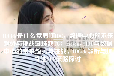 IDCidc是什么意思啊IDC，数据中心的未来趋势与挑战蜘蛛池TG：zzcseo，IDC与数据中心的未来趋势与挑战，IDCidc解析与蜘蛛池SEO策略探讨