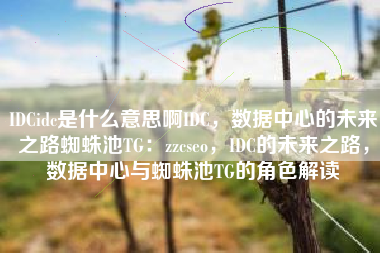 IDCidc是什么意思啊IDC，数据中心的未来之路蜘蛛池TG：zzcseo，IDC的未来之路，数据中心与蜘蛛池TG的角色解读