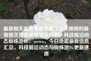 最新相关信息哪里地震了今天刚刚的最新相关信息最新相关信息，科技前沿动态蜘蛛池TG：zzcseo，今日地震最新信息汇总，科技前沿动态与蜘蛛池TG更新速递
