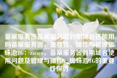 备案服务器备案服务器到期域名还能用吗备案服务器，重要性、操作与管理蜘蛛池TG：zzcseo，备案服务器到期域名使用问题及管理与操作，蜘蛛池TG的重要性探讨