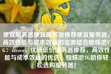 便宜服务器便宜服务器推荐便宜服务器，高效性能与成本效益的完美结合蜘蛛池TG：zzcseo，优质低价服务器推荐，高效性能与成本效益的优选，蜘蛛池TG助你轻松选购服务器！