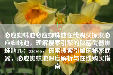 必应蜘蛛池必应蜘蛛池在线购买探索必应蜘蛛池，理解搜索引擎的秘密武器蜘蛛池TG：zzcseo，探索搜索引擎的秘密武器，必应蜘蛛池深度解析与在线购买指南