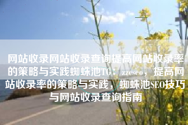 网站收录网站收录查询提高网站收录率的策略与实践蜘蛛池TG：zzcseo，提高网站收录率的策略与实践，蜘蛛池SEO技巧与网站收录查询指南