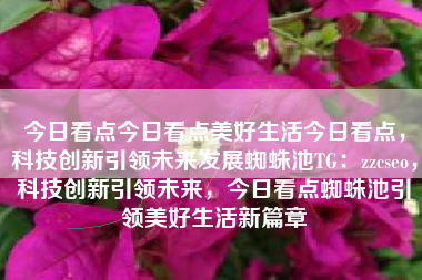 今日看点今日看点美好生活今日看点，科技创新引领未来发展蜘蛛池TG：zzcseo，科技创新引领未来，今日看点蜘蛛池引领美好生活新篇章