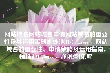 网站域名网站域名申请网站域名的重要性及其运用策略蜘蛛池TG：zzcseo，网站域名的重要性、申请策略及运用指南，蜘蛛池TG与zzcseo的独到见解