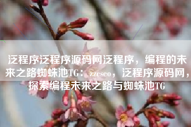 泛程序泛程序源码网泛程序，编程的未来之路蜘蛛池TG：zzcseo，泛程序源码网，探索编程未来之路与蜘蛛池TG
