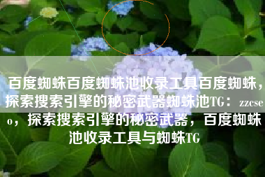 百度蜘蛛百度蜘蛛池收录工具百度蜘蛛，探索搜索引擎的秘密武器蜘蛛池TG：zzcseo，探索搜索引擎的秘密武器，百度蜘蛛池收录工具与蜘蛛TG