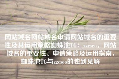 网站域名网站域名申请网站域名的重要性及其运用策略蜘蛛池TG：zzcseo，网站域名的重要性、申请策略及运用指南，蜘蛛池TG与zzcseo的独到见解