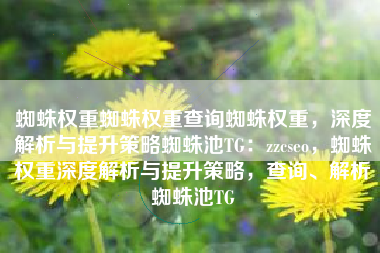 蜘蛛权重蜘蛛权重查询蜘蛛权重，深度解析与提升策略蜘蛛池TG：zzcseo，蜘蛛权重深度解析与提升策略，查询、解析蜘蛛池TG