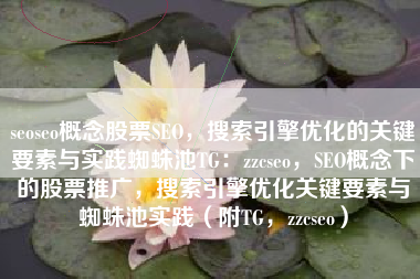seoseo概念股票SEO，搜索引擎优化的关键要素与实践蜘蛛池TG：zzcseo，SEO概念下的股票推广，搜索引擎优化关键要素与蜘蛛池实践（附TG，zzcseo）