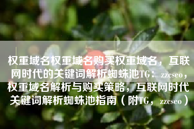 权重域名权重域名购买权重域名，互联网时代的关键词解析蜘蛛池TG：zzcseo，权重域名解析与购买策略，互联网时代关键词解析蜘蛛池指南（附TG，zzcseo）