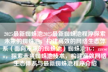 2025最新蜘蛛池2025最新蜘蛛池程序探索未来的蜘蛛池，构建高效的网络生态体系（面向未来的蜘蛛池）蜘蛛池TG：zzcseo，探索未来蜘蛛池技术，构建高效网络生态体系与最新蜘蛛池程序介绍