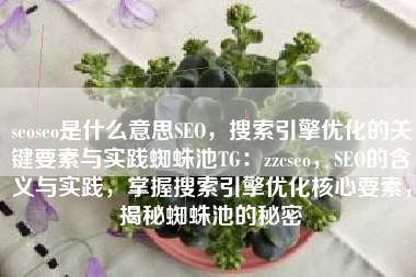seoseo是什么意思SEO，搜索引擎优化的关键要素与实践蜘蛛池TG：zzcseo，SEO的含义与实践，掌握搜索引擎优化核心要素，揭秘蜘蛛池的秘密