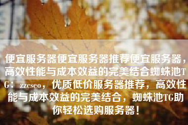 便宜服务器便宜服务器推荐便宜服务器，高效性能与成本效益的完美结合蜘蛛池TG：zzcseo，优质低价服务器推荐，高效性能与成本效益的完美结合，蜘蛛池TG助你轻松选购服务器！