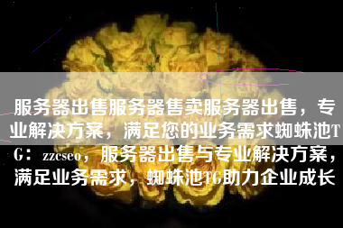 服务器出售服务器售卖服务器出售，专业解决方案，满足您的业务需求蜘蛛池TG：zzcseo，服务器出售与专业解决方案，满足业务需求，蜘蛛池TG助力企业成长