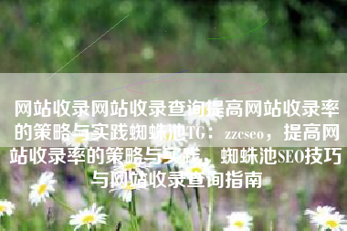 网站收录网站收录查询提高网站收录率的策略与实践蜘蛛池TG：zzcseo，提高网站收录率的策略与实践，蜘蛛池SEO技巧与网站收录查询指南