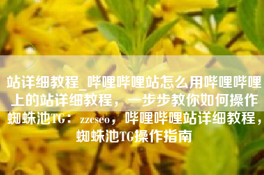 站详细教程_哔哩哔哩站怎么用哔哩哔哩上的站详细教程，一步步教你如何操作蜘蛛池TG：zzcseo，哔哩哔哩站详细教程，蜘蛛池TG操作指南