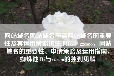 网站域名网站域名申请网站域名的重要性及其运用策略蜘蛛池TG：zzcseo，网站域名的重要性、申请策略及运用指南，蜘蛛池TG与zzcseo的独到见解