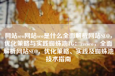 网站seo网站seo是什么全面解析网站SEO，优化策略与实践蜘蛛池TG：zzcseo，全面解析网站SEO，优化策略、实践及蜘蛛池技术指南